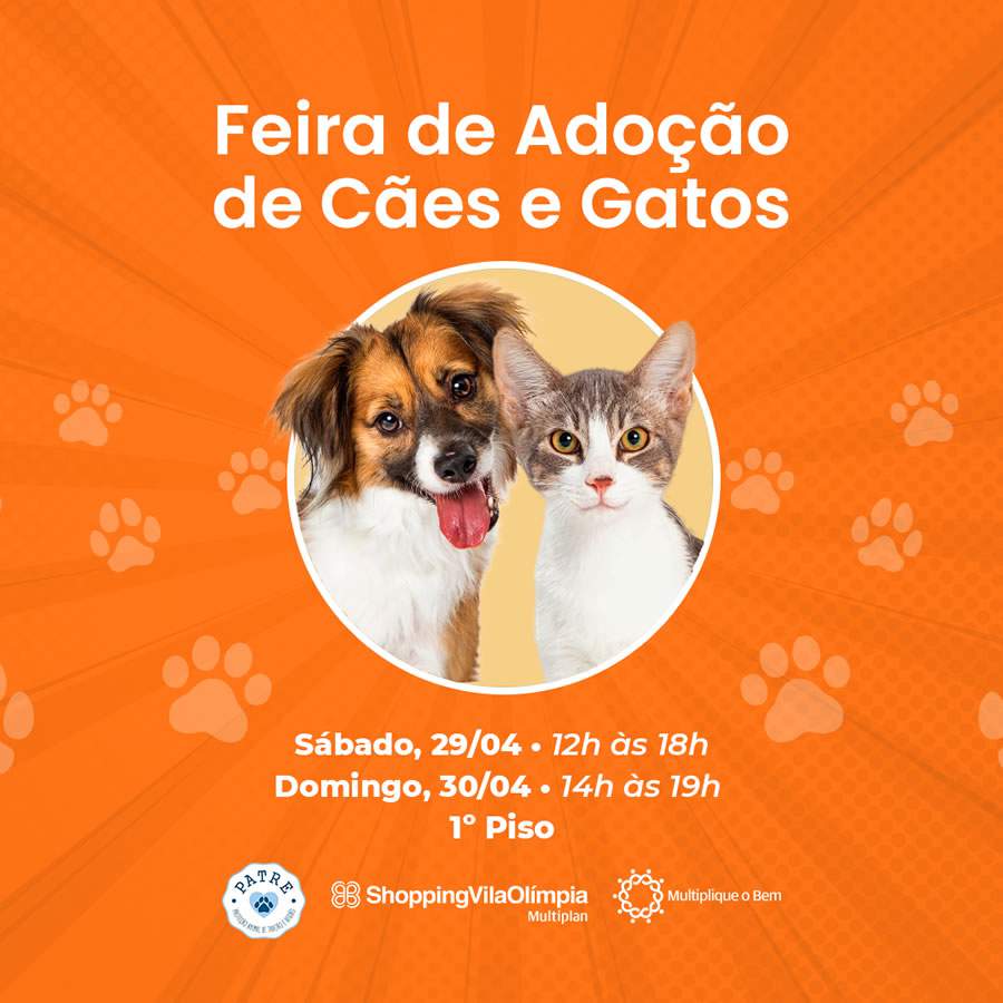 Shopping Vila Olímpia anuncia: Vem aí mais uma Feira de Adoção de Cães &amp; Gatos com a ONG PATRE