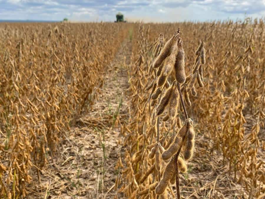 ACADIAN-Bioestimulantes-sao-aliados-dos-agricultores-para-o-aumento-da-produtividade-na-soja-Foto-Divulgacao