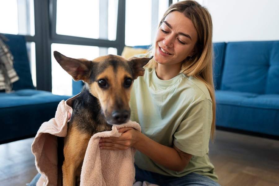 Crédito Divulgação Mercado Pet e Brasilseg