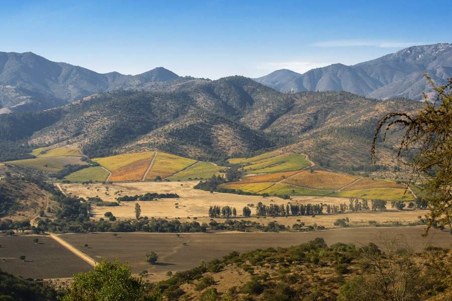 Chile: vinícola Matetic oferece hospedagem em domos e cabanas no bosque