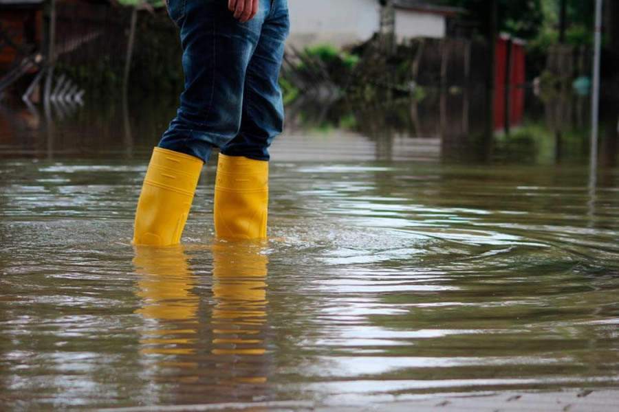 Situação no Rio Grande do Sul alerta para medidas de prevenção contra a Leptospirose