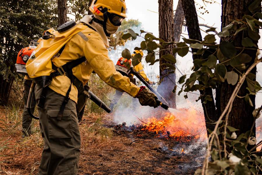 IPÊ lança campanha para apoiar brigadistas voluntários e comunitários que estão na linha de frente do combate aos incêndios