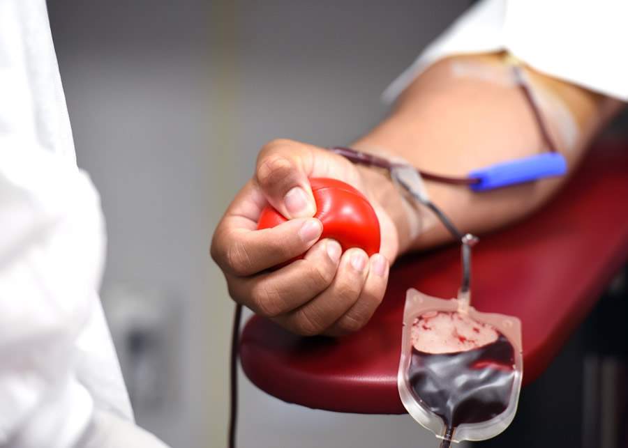 Além dos alunos, pais e colaboradores voluntários de toda a sociedade podem participar doando sangue em qualquer instituição (Imagem: Michelle Gordon / Pixabay)