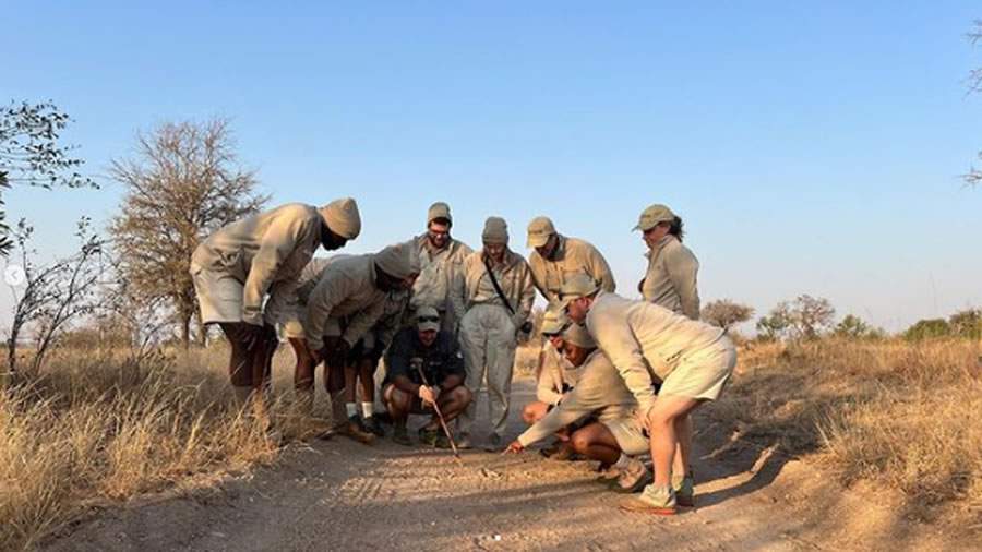 Hotel de safári sul-africano lança Academia de Rangers para formar guias e capacitar comunidades locais