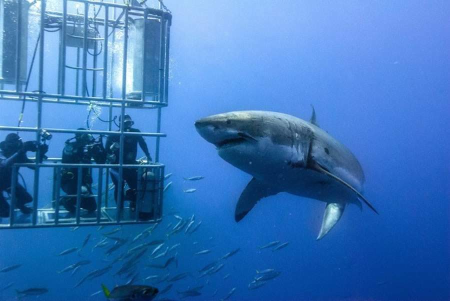 Atividades radicais atraem turistas em busca de aventura