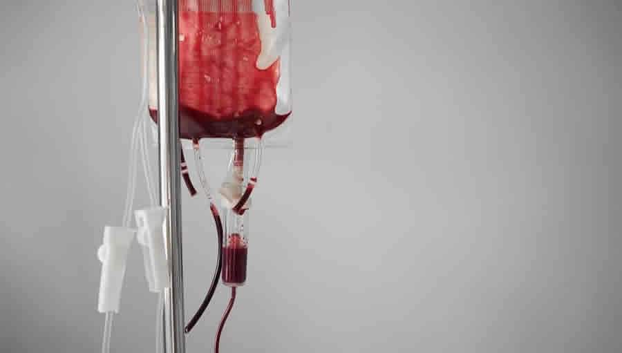 Liberdade religiosa: Testemunhas de Jeová podem recusar transfusão de sangue em tratamentos médicos