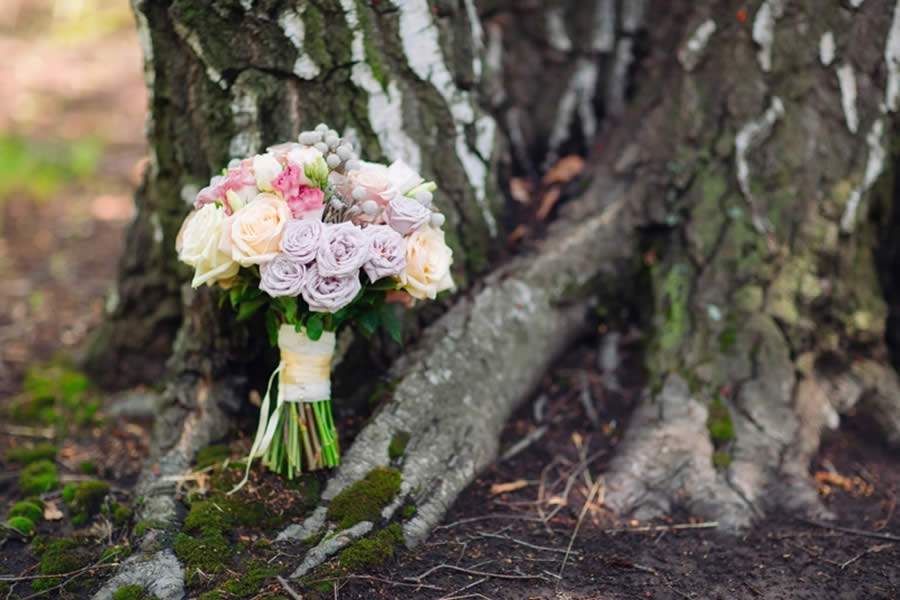 Qual o custo do Valentine&#039;s Day ao redor do mundo para o meio ambiente?