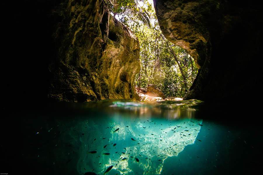 Parque Estadual Turístico do Alto Ribeira conta com dezenas de cachoeiras e mais de 300 cavernas - Créditos: PETAR