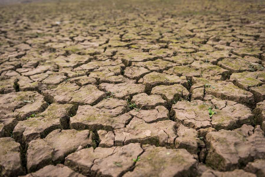 Com seca e mudanças climáticas, seguros agrícolas são alternativa para o futuro do agronegócio brasileiro