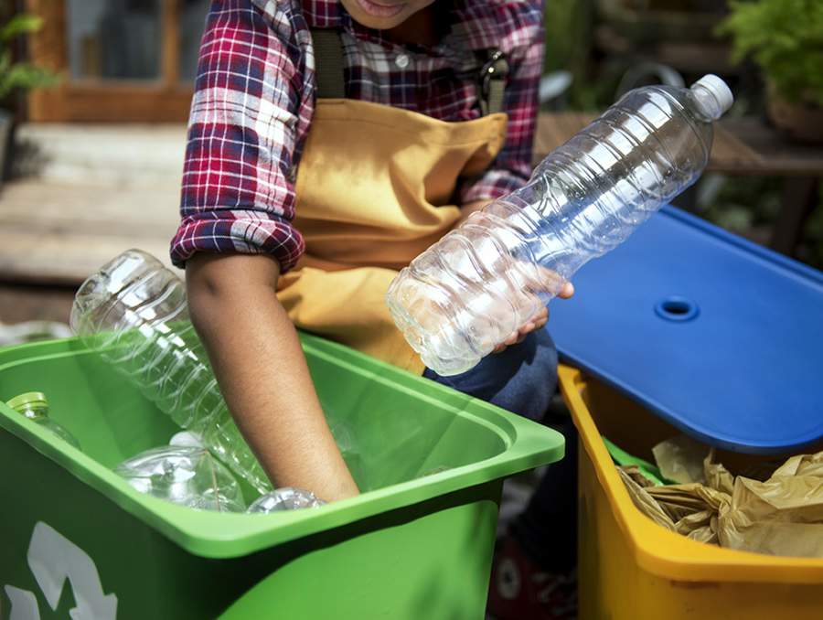 Educação como ferramenta de transformação ambiental