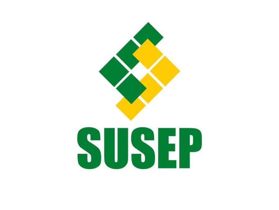 Susep participa de evento sobre Letras de Risco de Seguros (LRS)