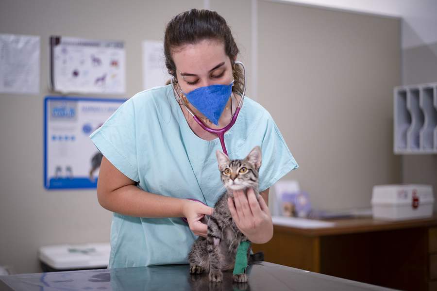 Hospital Veterinário faz parte da ampla estrutura da Unoeste na área de ciências agrárias (Foto: Ector Gervasoni)