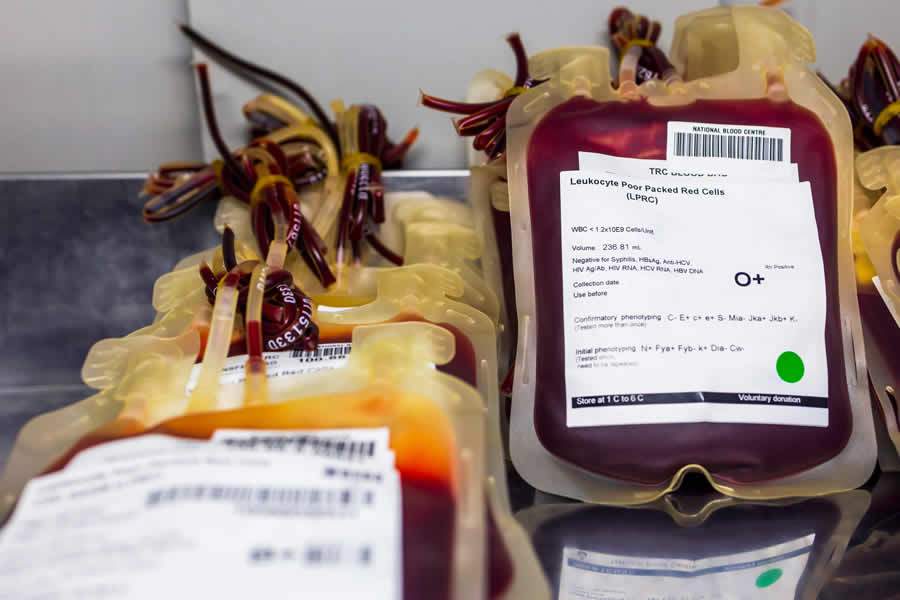  Logística de doação de sangue exige rigoroso controle de temperatura (Foto: Adobe Stock)