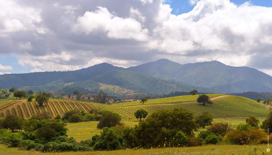 Vinícola Matetic presenteia viajantes com passeios a partir de outubro