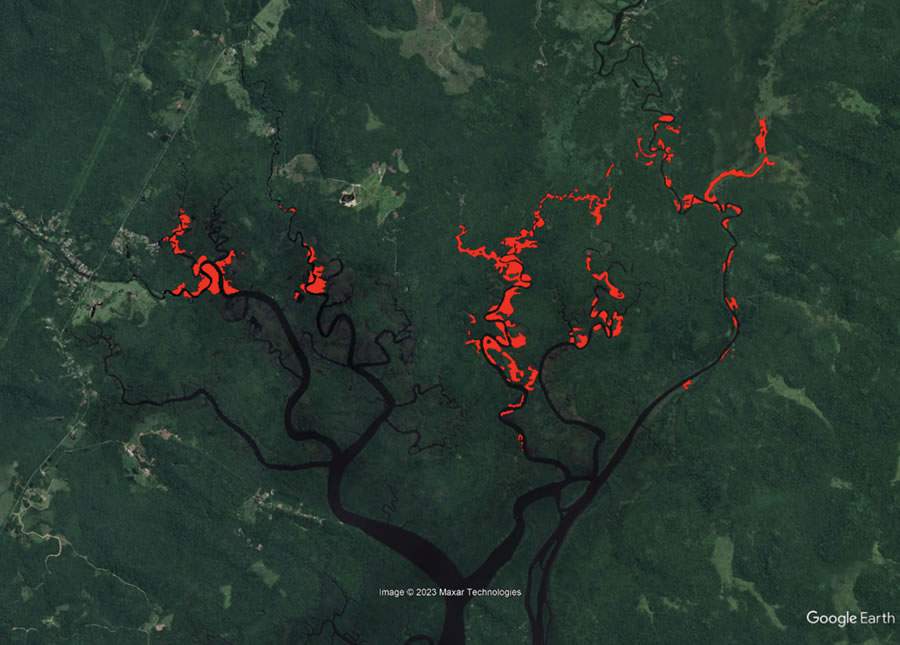 Mapa mostra 75 ha de áreas invadidas por braquiárias-d&#039;água (em vermelho) na baía de Antonina/PR