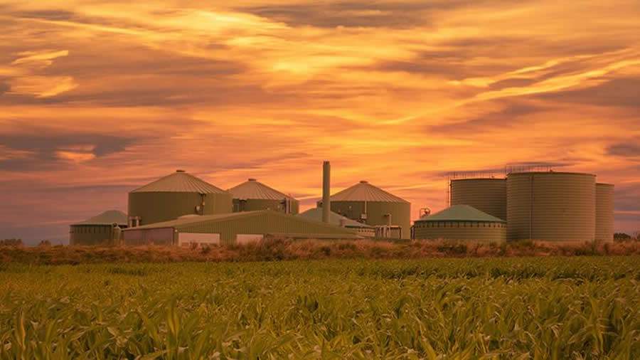 Nos últimos anos, o setor de biogás tem experimentado um crescimento notável, impulsionado pela demanda cada vez maior de energia renovável e práticas sustentáveis - Crédito Divulgação Vaisala - VIM-LAM-ES-Biogas-Webinar-May-22-LP