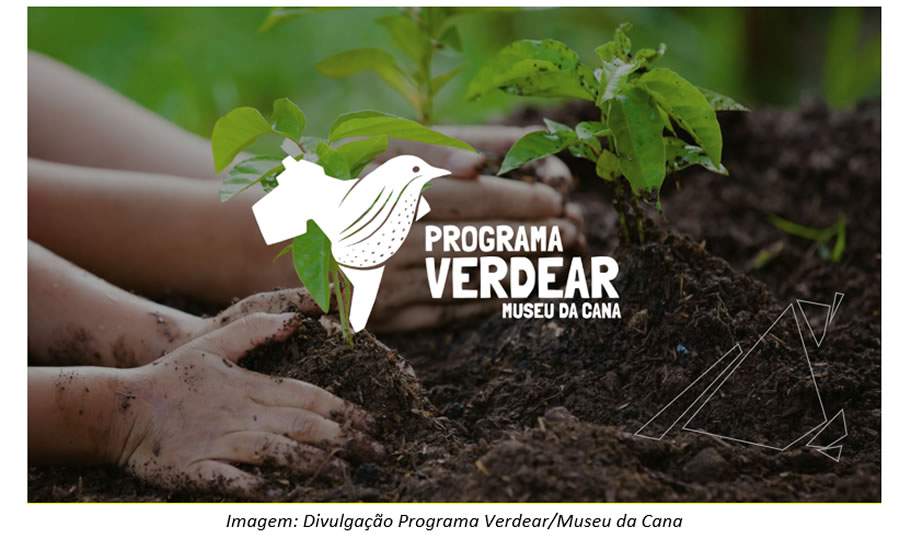 Iniciativa une educação ambiental e cultura para alunos de escola pública municipal de Pontal, na região de Ribeirão Preto (SP)