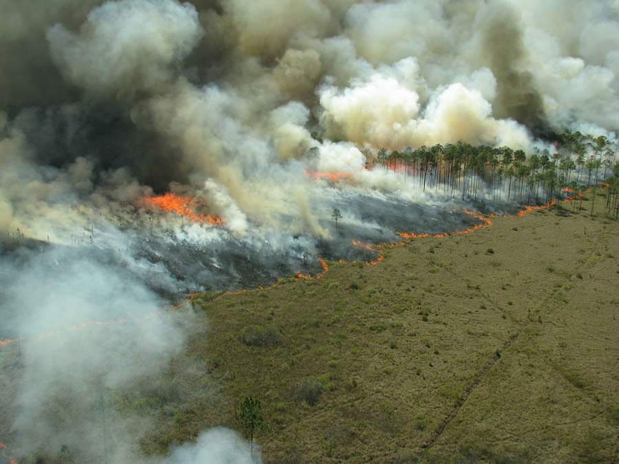 Incêndios geram impactos dentro e fora do agro