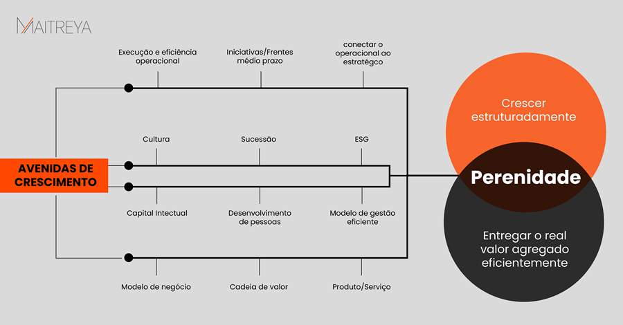 Perenidade das empresas familiares: desafios e estratégias